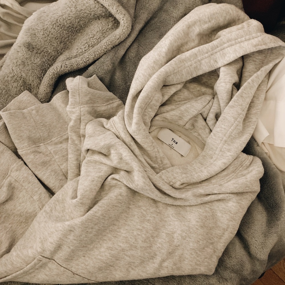 Aritzia hoodie